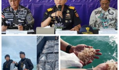 Gagalkan Penyelundupan 231 Ribu Benih Bening Lobster, Bea Cukai Batam Lepasliarkan BBL di Perairan Kepri