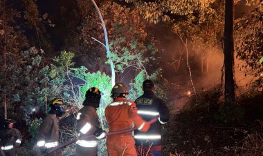 DITSAMAPTA POLDA KEPRI SIGAP TANGANI KEBAKARAN HUTAN DI BATU AJI, API BERHASIL DIPADAMKAN TANPA KORBAN JIWA