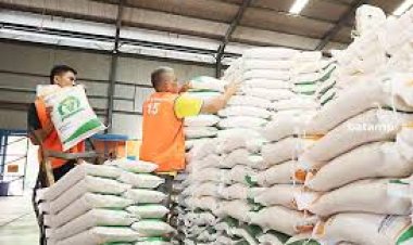 Stok Beras dan Minyakita di Batam Aman Jelang Ramadhan