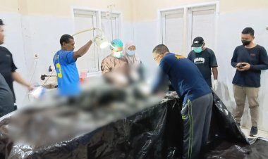 Dua Korban Tewas dalam Penyerangan di Pos Pengamanan PT Kristal Nabire, Satgas Ops Damai Cartenz Lakukan Penyelidikan Mendalam