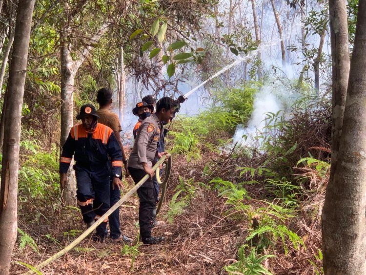 Aksi Cepat Satsamapta Polres Lingga Turunkan AWC Padamkan Kebakaran Lahan di Singkep Barat