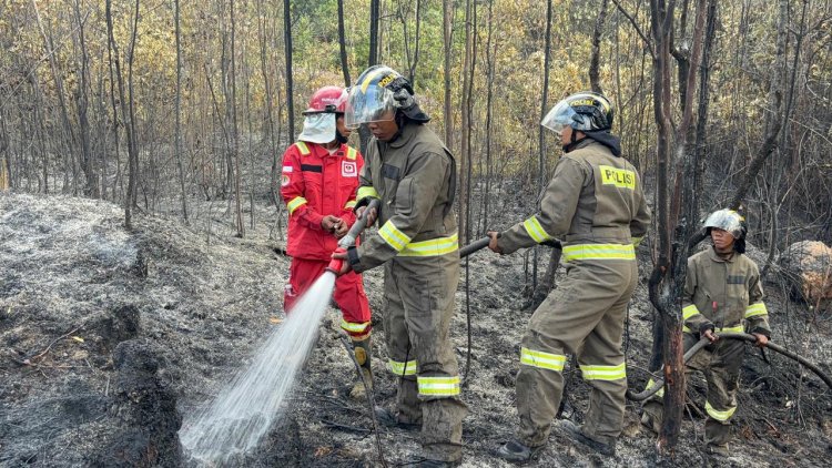 BRIMOB KEPRI GERAK CEPAT PADAMKAN KEBAKARAN HUTAN DI BUKIT DAENG TEMBESI, KOTA BATAM