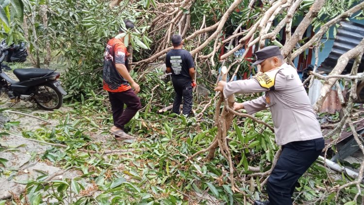Rumah Warga Kelumu Tertimpa Pohon, Polisi Bergerak Cepat
