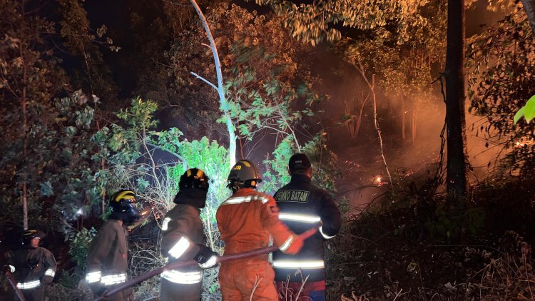 DITSAMAPTA POLDA KEPRI SIGAP TANGANI KEBAKARAN HUTAN DI BATU AJI, API BERHASIL DIPADAMKAN TANPA KORBAN JIWA