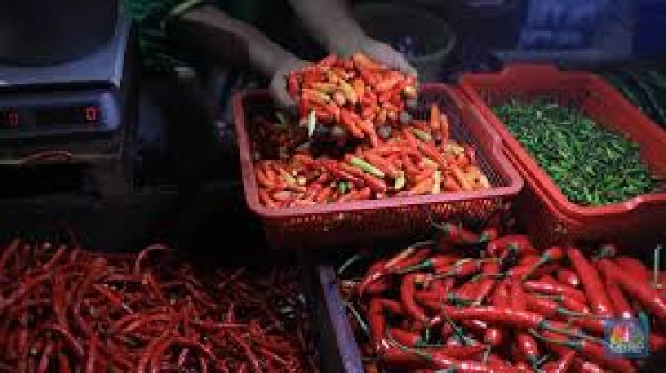 Harga Cabai di Pasar Tradisional Mulai Merangkak Naik Jelang Ramadhan