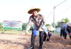 POLDA KEPRI IKUTI TANAM RAYA JAGUNG SERENTAK KUARTAL I DUKUNG SWASEMBADA PANGAN NASIONAL