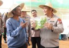 POLDA KEPRI PANEN PERDANA HIDROPONIK, DUKUNG KETAHANAN PANGAN