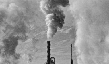 Kebijakan Baru Pajak Karbon Industri