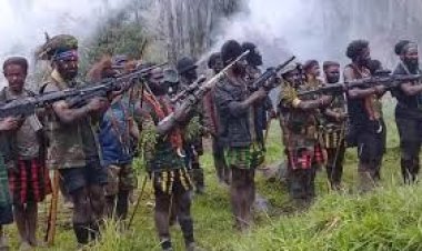 Satgas Damai Cartenz Kuasai Markas KKB di Nabire, Ratusan Amunisi Disita