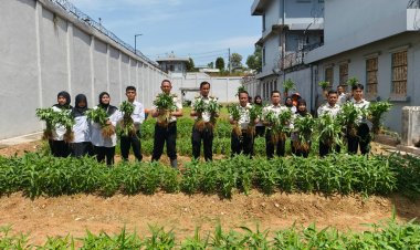 Panen 150 Kg Kangkung, Lapas Batam Dukung Program Ketahanan Pangan Nasional