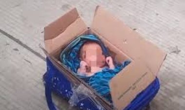 Heboh! Penemuan Bayi di Dalam Kardus di Pinggir Jalan Tol Cipularang