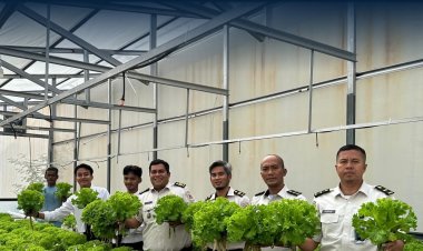 Warga Binaan Rumah Tahanan Negara Kelas IIA Batam Panen 142 Kilogram Selada dan Timun