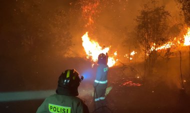 POLDA KEPRI GERAK CEPAT PADAMKAN KEBAKARAN HUTAN DAN LAHAN DI SEMBULANG BATAM