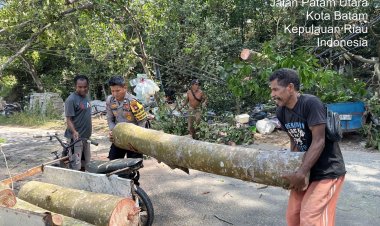 Polsek Sekupang Gerak Cepat Tangani Pohon Tumbang yang Timpa Rumah Warga di Patam Lestari