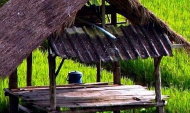 Startup "Agrotech" Asal Indonesia Raih Pendanaan Seri B Senilai Rp500 Miliar