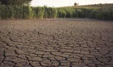 Antisipasi El Nino 2026: BMKG Ingatkan Potensi Kekeringan di Jawa dan NTT