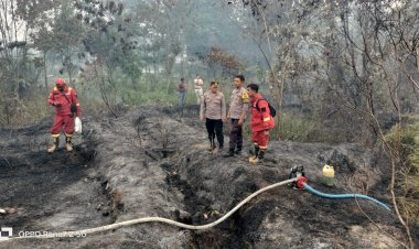 Kebakaran Hutan Lindung Terjadi di Kawasan Pemakaman Sei Temiang, Polsek Sekupang Turun Langsung Lakukan Pemadaman