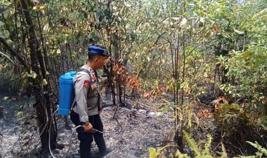 POLDA KEPRI DAN JAJARAN BERSAMA TIM GABUNGAN BERHASIL KENDALIKAN KEBAKARAN LAHAN DI 5 TITIK API DI KOTA BATAM