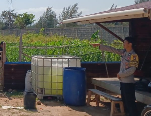 Polsek Bengkong Intensifkan Perawatan Lahan Jagung Pipil Hari Ke-50 Dukung Program Ketahanan Pangan Nasional