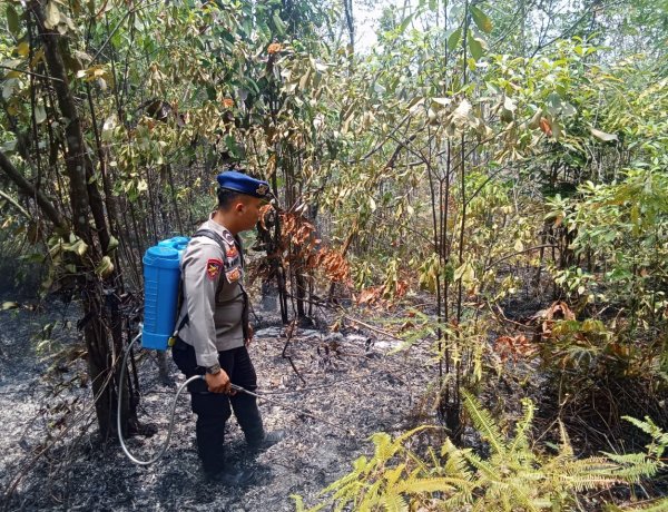 POLDA KEPRI DAN JAJARAN BERSAMA TIM GABUNGAN BERHASIL KENDALIKAN KEBAKARAN LAHAN DI 5 TITIK API DI KOTA BATAM
