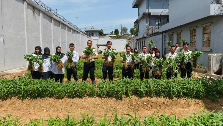 Panen 150 Kg Kangkung, Lapas Batam Dukung Program Ketahanan Pangan Nasional