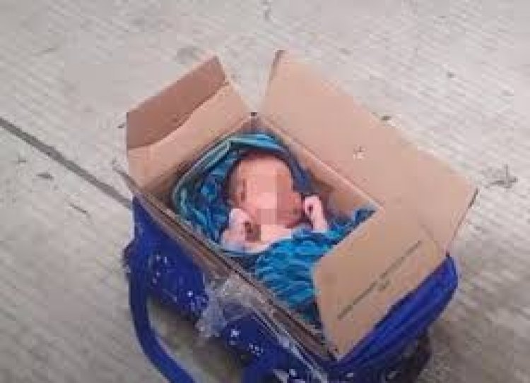 Heboh! Penemuan Bayi di Dalam Kardus di Pinggir Jalan Tol Cipularang