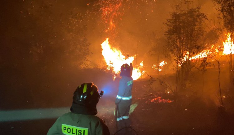 POLDA KEPRI GERAK CEPAT PADAMKAN KEBAKARAN HUTAN DAN LAHAN DI SEMBULANG BATAM