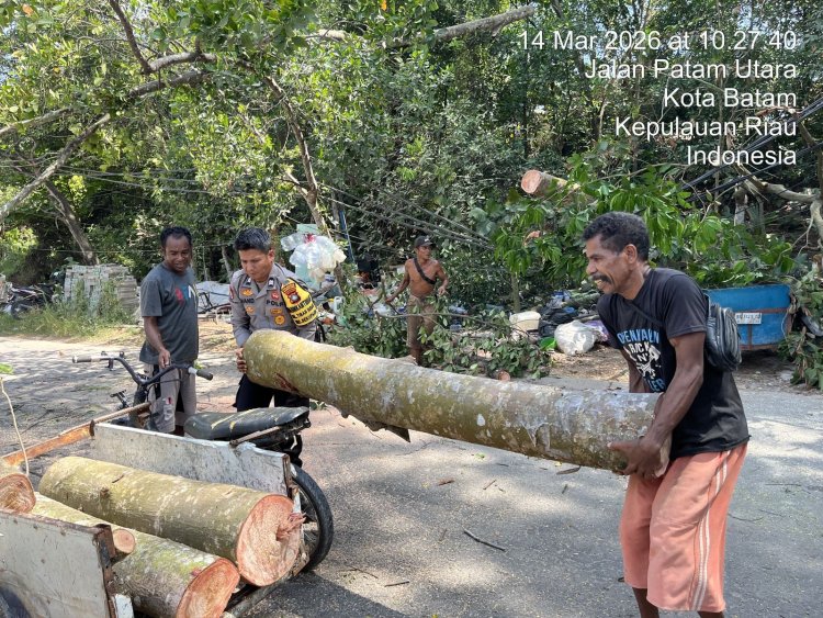 Polsek Sekupang Gerak Cepat Tangani Pohon Tumbang yang Timpa Rumah Warga di Patam Lestari
