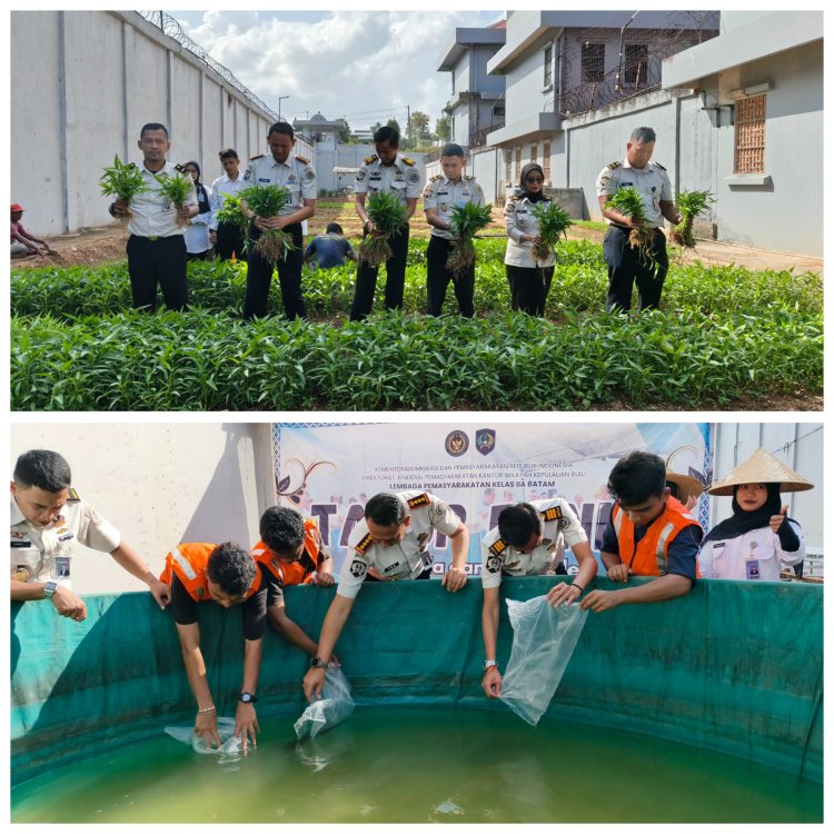 Produktif dan Berdampak, Lapas Batam Panen Kangkung dan Kembangkan Budidaya Lele