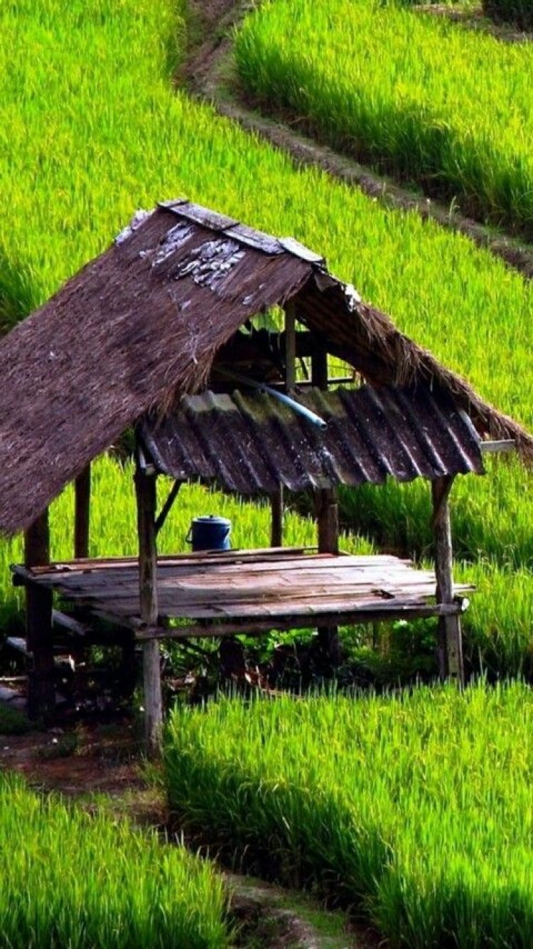 Startup "Agrotech" Asal Indonesia Raih Pendanaan Seri B Senilai Rp500 Miliar