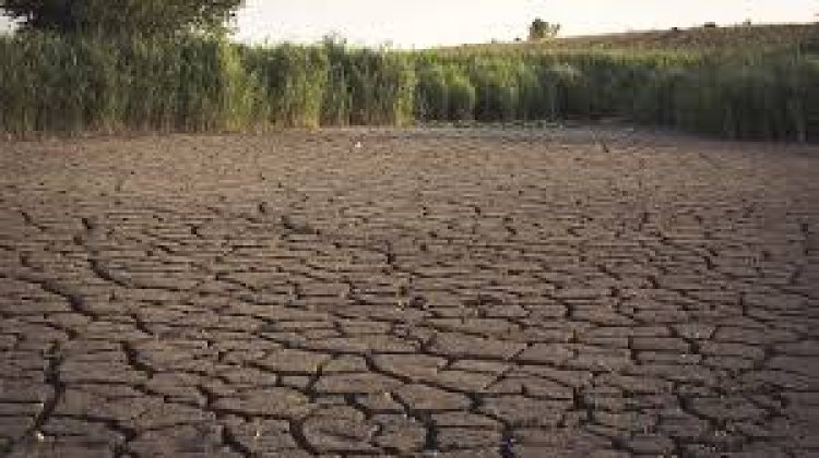 Antisipasi El Nino 2026: BMKG Ingatkan Potensi Kekeringan di Jawa dan NTT