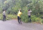 Respons Cepat Polsek Singkep Barat Bersihkan Material Pohon Tumbang