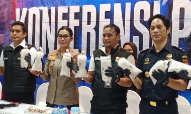 Polda Kepri Ungkap Penyelundupan 100 Ribu Benih Lobster, Diduga Akan Dikirim ke Singapura