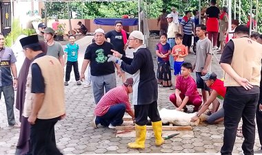 Capella Honda Serahkan Hewan Kurban ke Masjid Al Multazam Tanjungpinang