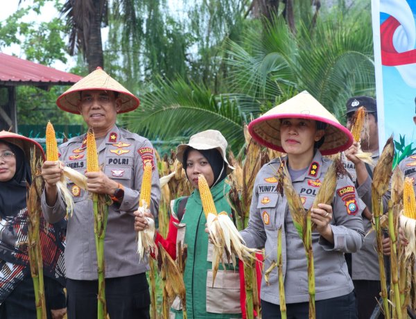 Panen Raya Jagung Serentak, Polres Karimun Dukung Ketahanan Pangan Nasional