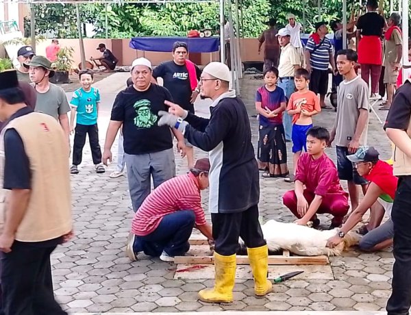 Capella Honda Serahkan Hewan Kurban ke Masjid Al Multazam Tanjungpinang