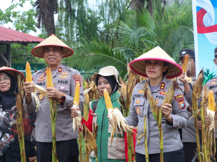 Panen Raya Jagung Serentak, Polres Karimun Dukung Ketahanan Pangan Nasional