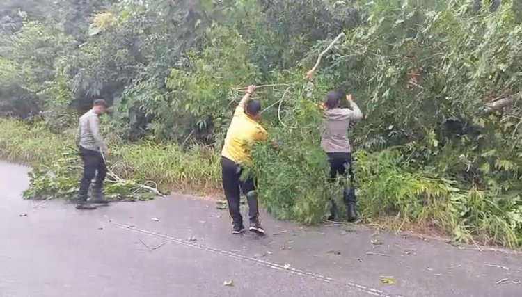 Respons Cepat Polsek Singkep Barat Bersihkan Material Pohon Tumbang