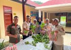 Panen Pakcoy Perdana, Polres Lingga Dorong Kemandirian Pangan