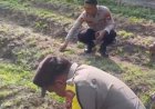 Kebun P2L Polsek Dabo Singkep Jadi Langkah Konkret Mendukung Program Pangan Nasional