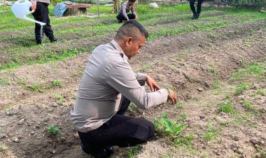 Ketahanan Pangan Dimulai dari Pekarangan Lestari