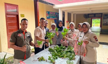 Panen Pakcoy Perdana, Polres Lingga Dorong Kemandirian Pangan