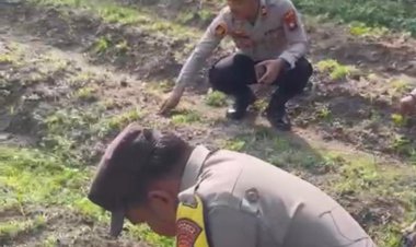 Kebun P2L Polsek Dabo Singkep Jadi Langkah Konkret Mendukung Program Pangan Nasional