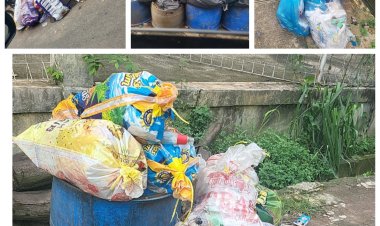 Sampah Menumpuk Berbulan-bulan, Warga Botania Garden Kecam Kinerja DLH Batam