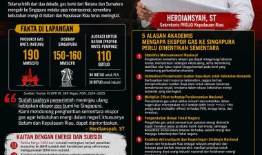 Gas Natuna Mengalir ke Negeri Tetangga, Projo Kepri Pertanyakan Komitmen untuk Batam
