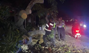 Patroli Siaga Bencana Samapta Polres Karimun, Pohon Tumbang di Bukit Sidomulyo Berhasil Ditangani