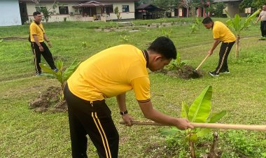 Polsek Dabo Singkep Rawat Kebun Pisang untuk Dukung Ketahanan Pangan