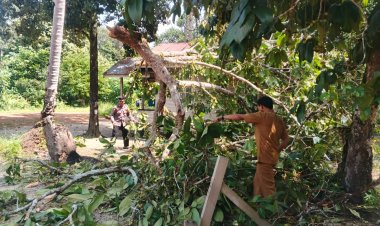 Respons Cepat Polsek Daik Lingga, Pohon Tumbang di Selayar Langsung Dievakuasi