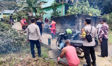 Polsek Dabo Singkep Respon Laporan Warga Terkait Pohon Tumbang