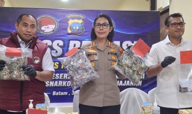 Polda Kepri Ungkap 10 Kasus Narkotika dalam Sepekan, Amankan 13 Tersangka dan Ratusan Cartridge Vape Mengandung Etomidate